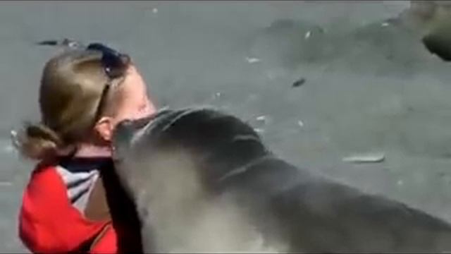 Давай дружить.flv смотреть онлайн