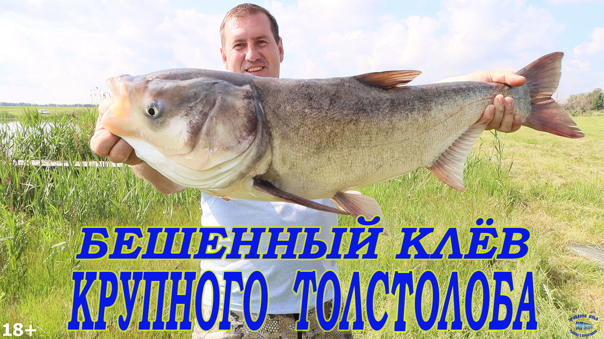 Бешенный клёв крупного толстолобика! смотреть онлайн