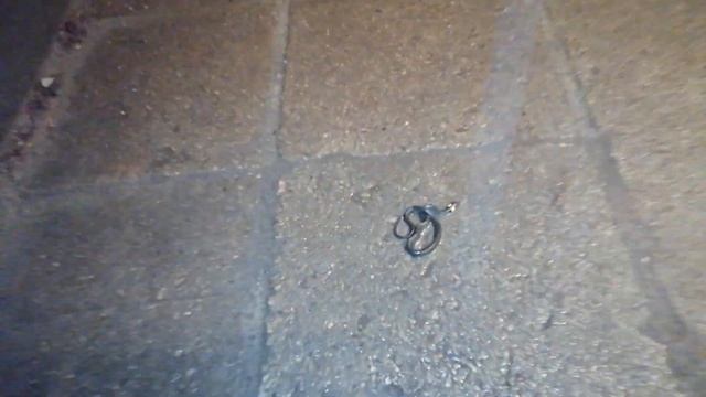 26.01.2020 ЖИВОЙ УЖ В ГОРОДЕ ЗИМОЙ. ЗМЕЯ ВЫШЛА ИЗ СПЯЧКИ НЕ ДОЖИДАЯСЬ ВЕСНЫ смотреть онлайн