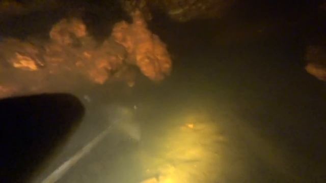 ПОДВОДНАЯ ОХОТА НА КАНАЛЬНОГО (АМЕРИКАНСКОГО) СОМА!!! смотреть онлайн