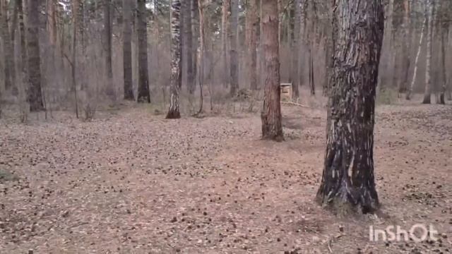 Поделили детей. Гилевская роща - место для семейного отдыха. Переезд из Казахстана в Россию. Тюмень смотреть онлайн