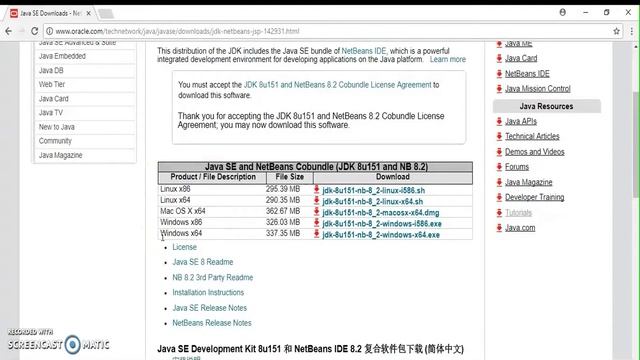 Download & Install - JDK and NetBeans (English) смотреть онлайн