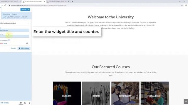 How to Configure Stats Section on homepage | Education Zone Pro WordPress Theme смотреть онлайн