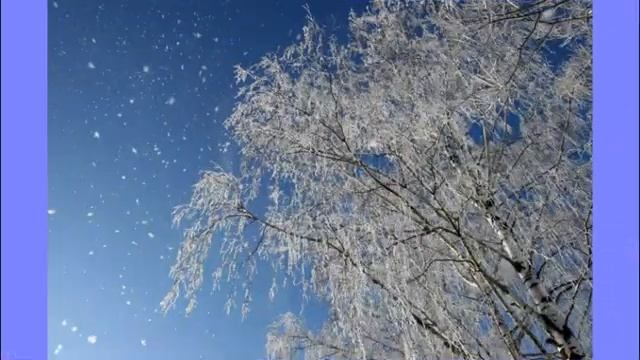 Берёзы - Рита Бараз смотреть онлайн
