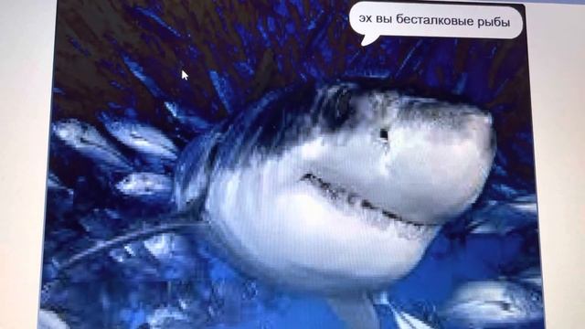 Акулы - хищники океанов смотреть онлайн