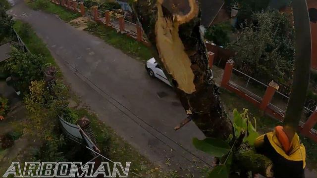 Ріжемо малий горішок у дротах We cut a small walnut into wires смотреть онлайн