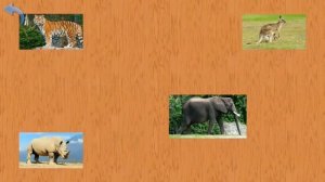 Карточки Домана Часть 3 Животные мира