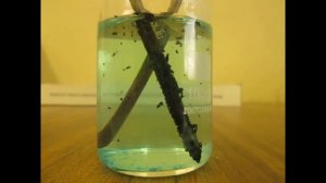 Электролиз медного купороса (с гвоздями)