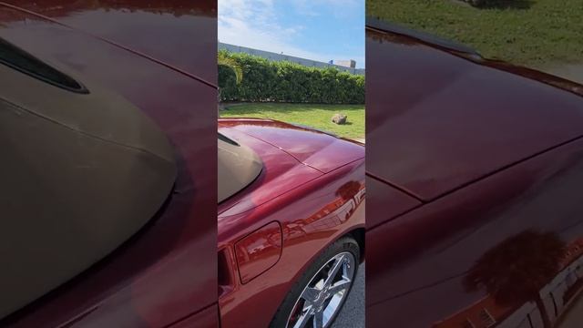 2007 chevrolet corvette смотреть онлайн