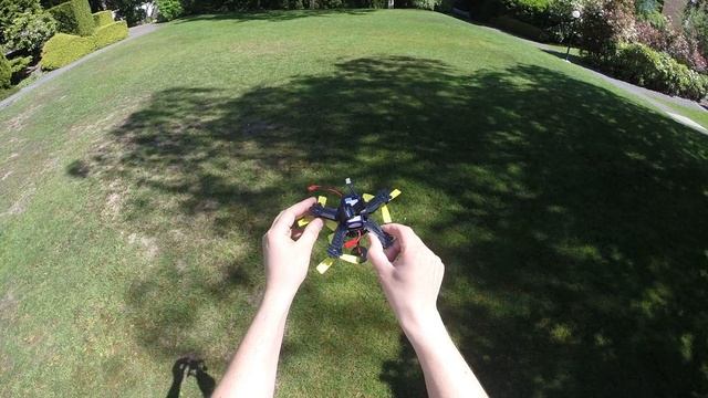 FlexRC Frog with DYS 1306 4000kv - 360 degrees view смотреть онлайн