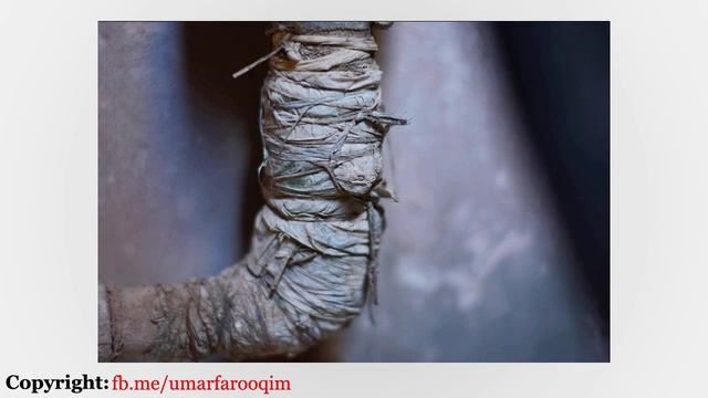 Nikon D5200 Kit Lens vs 50mm F/1.8G AF-S Prime Lens смотреть онлайн