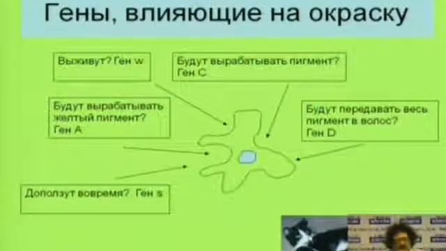 30 апреля 2012 года. Глаголев Сергей Менделевич. Тема 2. смотреть онлайн