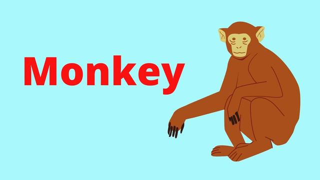 Learn Animal Names With Pictures in English | Learn Animal Names in English | Learn Animals Name смотреть онлайн