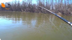 Рыбалка с Ronin Rush Sonic до 70 грамм Спиннинг под тяжёлый джиг