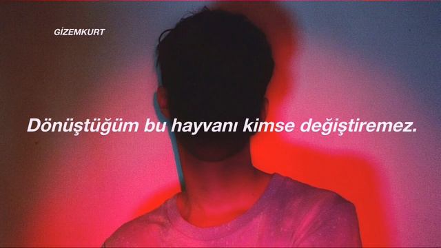 Three Days Grace - Animal I Have Become (Türkçe Çeviri) смотреть онлайн