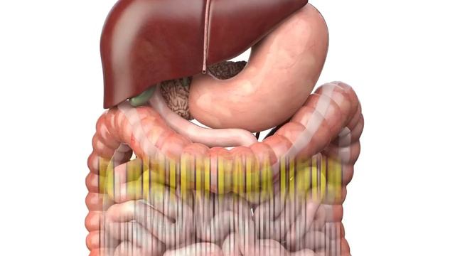 TANDA TUBUH TERLALU ASAM | dr.Emasuperr смотреть онлайн