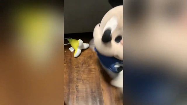 Bongo meets the baby squad part 3 смотреть онлайн