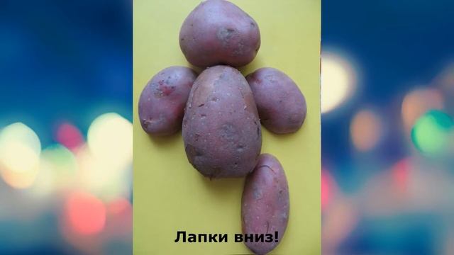 "Картофельный Медведь" (поделка из сырой картошки). Автор идеи и стихов Кочетова О. А. смотреть онлайн