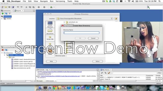 How to use SVN on SQL Developer tool смотреть онлайн
