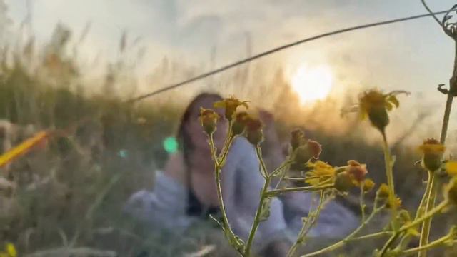 Summer vibe🌾💛 | beautiful video | красивое летнее видео | Andrew Belle - Pieces (Hushed) смотреть онлайн