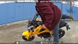HONDA MSX 125 GROM + тестрайв