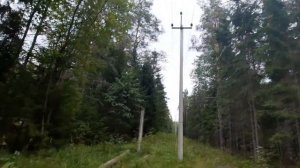 Нашли много шс 10 г!+ 1 шф 20 г!НЕОЖИДАННЫЕ НАХОДКИ.У МЕНЯ 161 КОРЕЙСКИХ ИЗОЛЯТОРОВ!(insulator hunt