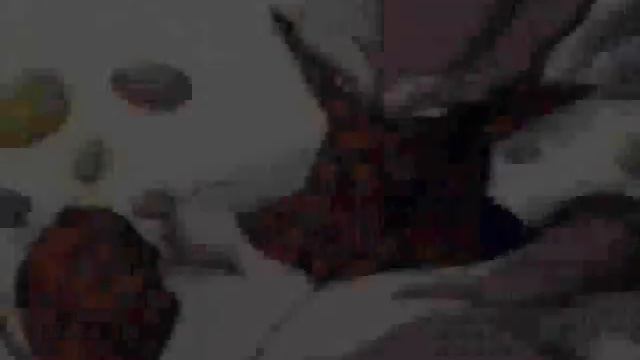 Live Eternal смотреть онлайн