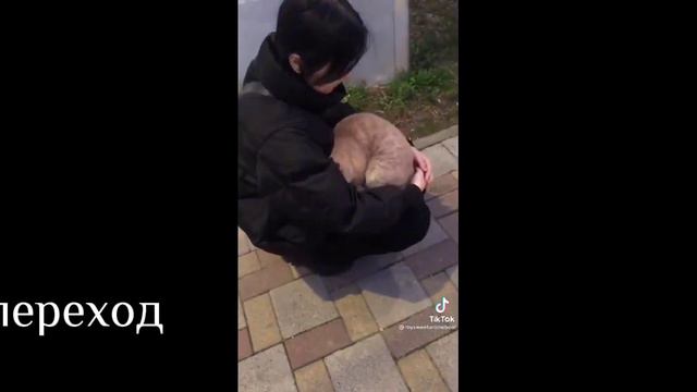 {МОЁ АУ!!! }{реакция 13 карт +Джокер на Браян/Вару}3/? смотреть онлайн