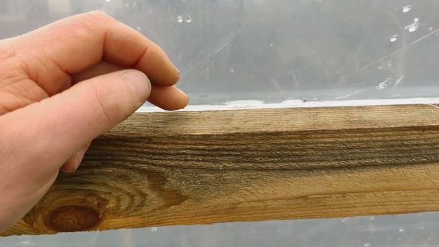 Ошибки в моей теплице которые привели к гниению клубники.