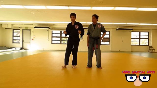 Real Life Assassin's Creed Takedowns - Techniques of Assassins' by Nerd Martial Arts смотреть онлайн