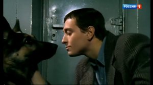 СЕРИАЛ БРИГАДА 3 СЕРИЯ / КОРОТКИЙ #ТопМомент / САНЯ БЕЛЫЙ "РАЗВЕДКА ЗА СОСЕДКОЙ ПРОДОЛЖАЕТСЯ" #2