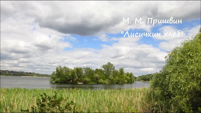 М. М. Пришвин "Лисичкин хлеб" смотреть онлайн