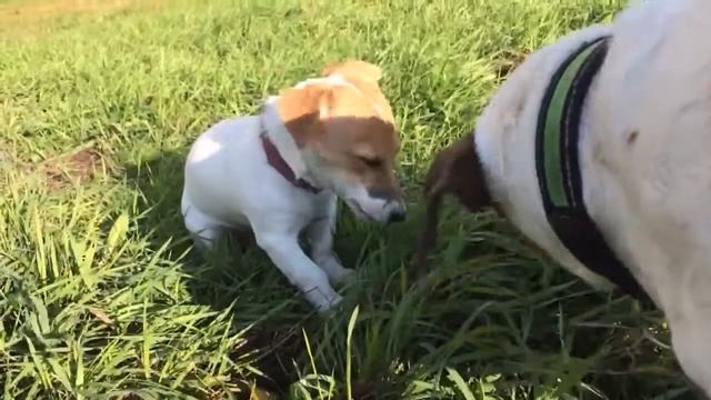 Зета смотреть онлайн