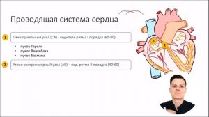 ЭКГ за 100 минут №1: ЭКГ плёнка, Проводящая система сердца
