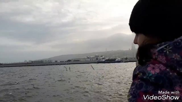 Альбатросы Чайки Бакинского Бульвара..Dənizkənarı Bulvar Qagayıları..17.02.2018 смотреть онлайн