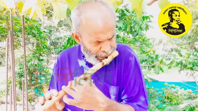 মন জুড়ানো বাঁশির সুর | মোহন সরকারের বাশির সুর | তুই যদি হইতি আমার বাশির সুর_Mohon Sarkar flute tune смотреть онлайн