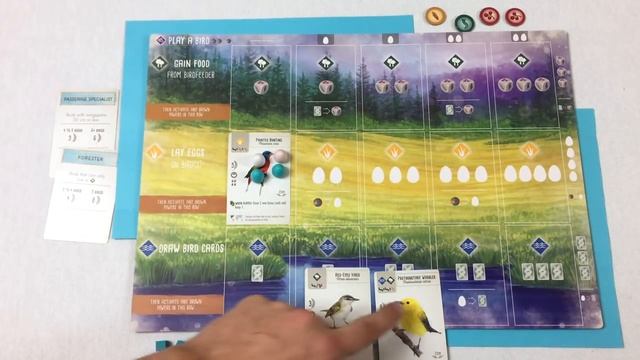 Tom Teaches Wingspan (Rules Overview & Gameplay) смотреть онлайн