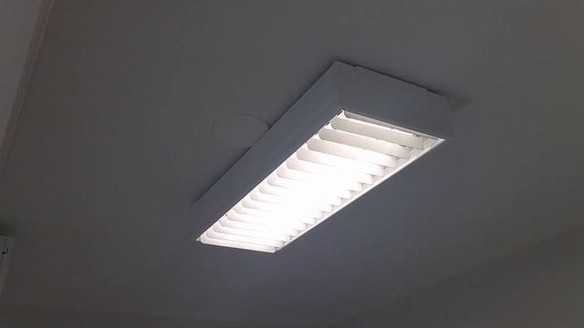 EOL Philips Master TL-D 18w/865 смотреть онлайн
