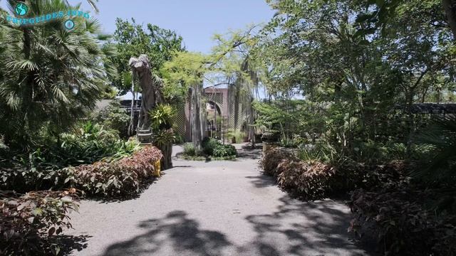 Jardín Botánico de Puerto de la Cruz - Tenerife, España. смотреть онлайн