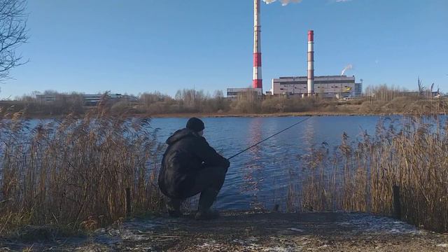 COMMANDER SHAD 14 см. Испытываю новые приманки