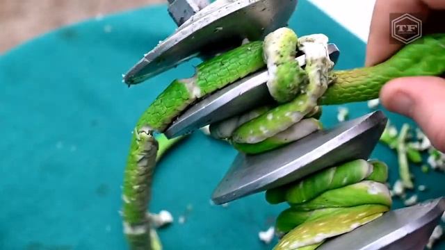 Змея против мясорубки смотреть онлайн