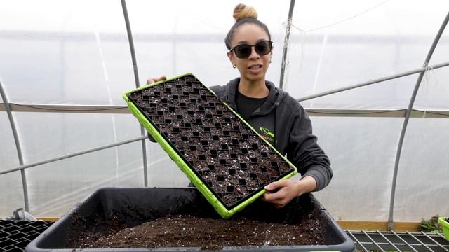 USA MADE 72 CELL AIR PRUNE TRAY FROM BOOTSTRAP FARMER смотреть онлайн