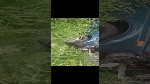 VID_20230705_163315.mp4 смотреть онлайн