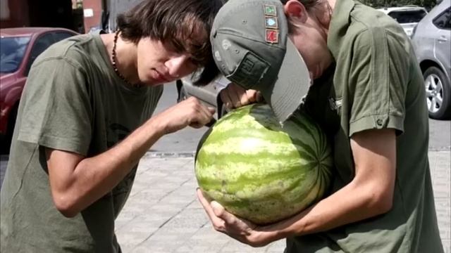 Как отличить арбузы «девочки», которые считаются слаще 9 советов, как не прогадать при выборе арбуз смотреть онлайн