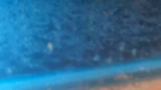 Малек Биколор смотреть онлайн