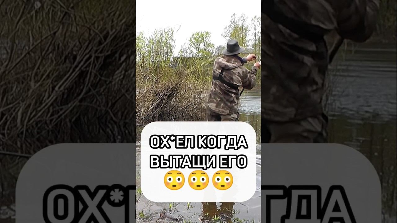 А ВЫ ЛОВИЛИ ТАКИХ ПУЗАТЫХ?? #рыбалка #fishing #рыба #рекомендации #леща #фидер #шортс #рек #fish смотреть онлайн