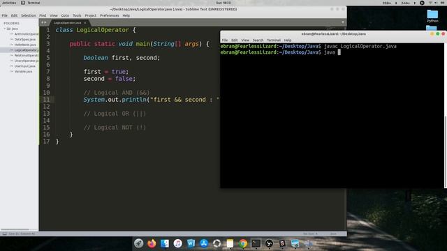 13-Logical Operator in Java: Java beginner Tutorial in Hindi смотреть онлайн