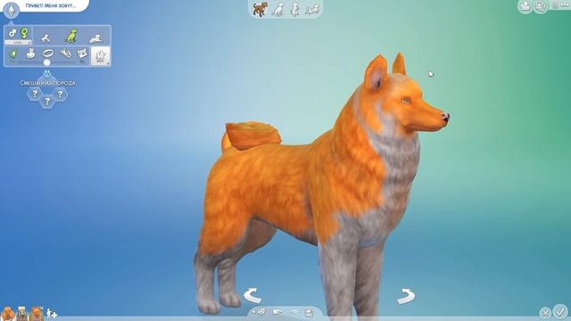 THE SIMS 4 ЧУДО ГЕНЕТИКИ | СОБАКА-ЛАМА-АКУЛА смотреть онлайн