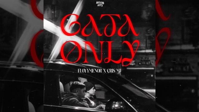 GATA ONLY - Floyymenor FT - Cris mj (audio oficial) смотреть онлайн