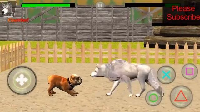 Street Dog Fighting Hero & Wild Dog Fighters Attack Game 2018 3d video смотреть онлайн